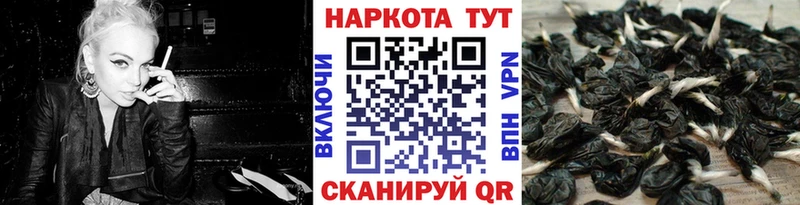  Кокаин Якутск
