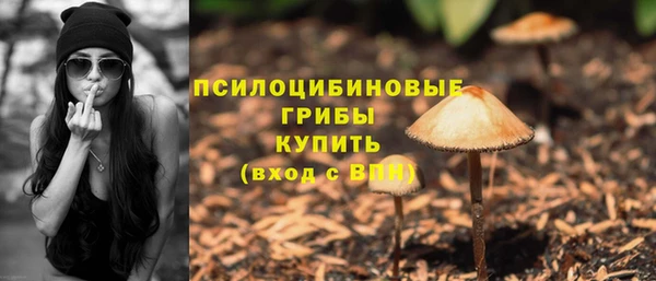 МДПВ Осинники