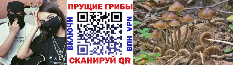 купить наркотики сайты  Якутск  Галлюциногенные грибы GOLDEN TEACHER 